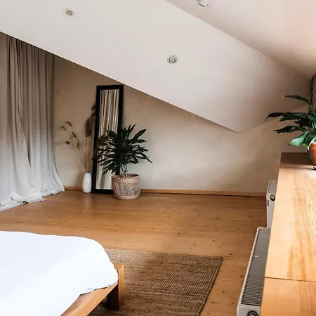 White Loft In Center With 2 King Size Beds * 리가