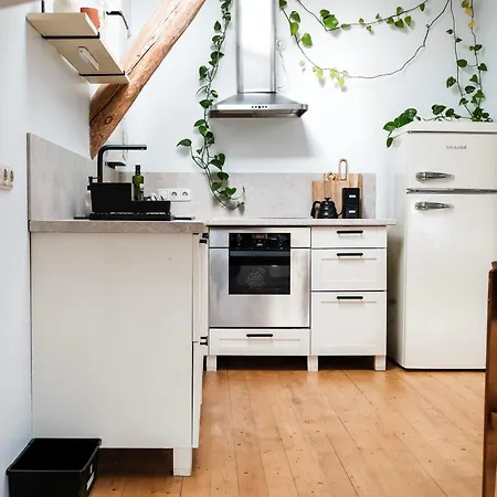 White Loft In Center With 2 King Size Beds 아파트 리가